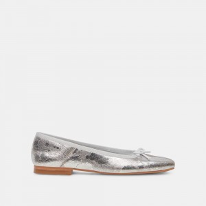 Dolce Vita Anisa Wide Leather Women Ballet Flats Silver | US-478310VFM