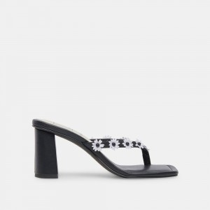 Dolce Vita Daphne Women Heels Black | US-805326SZW