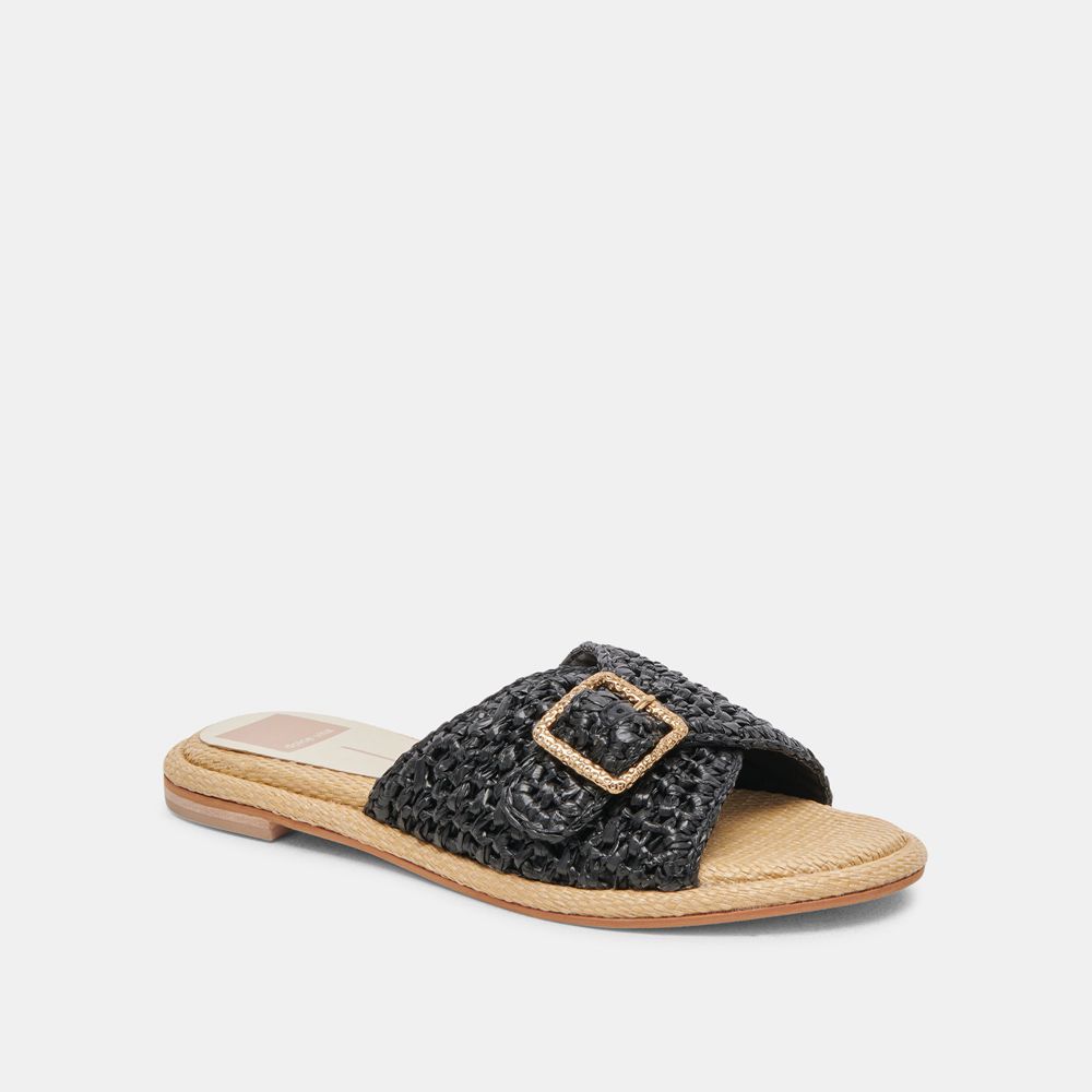 Dolce Vita Alonzo Raffia Women Sandals Black | US-476108VWI