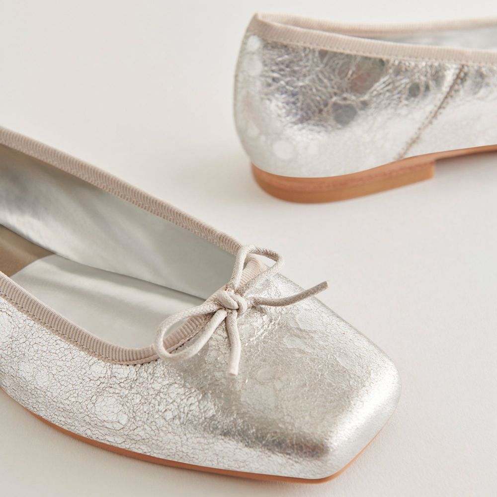 Dolce Vita Anisa Leather Women Ballet Flats Silver | US-703584BER