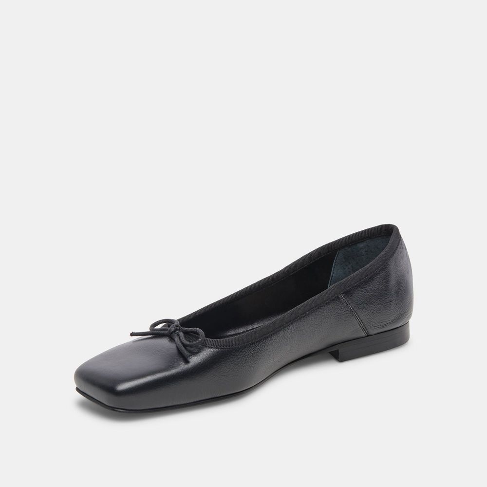 Dolce Vita Anisa Leather Women Ballet Flats Black | US-736804NEF