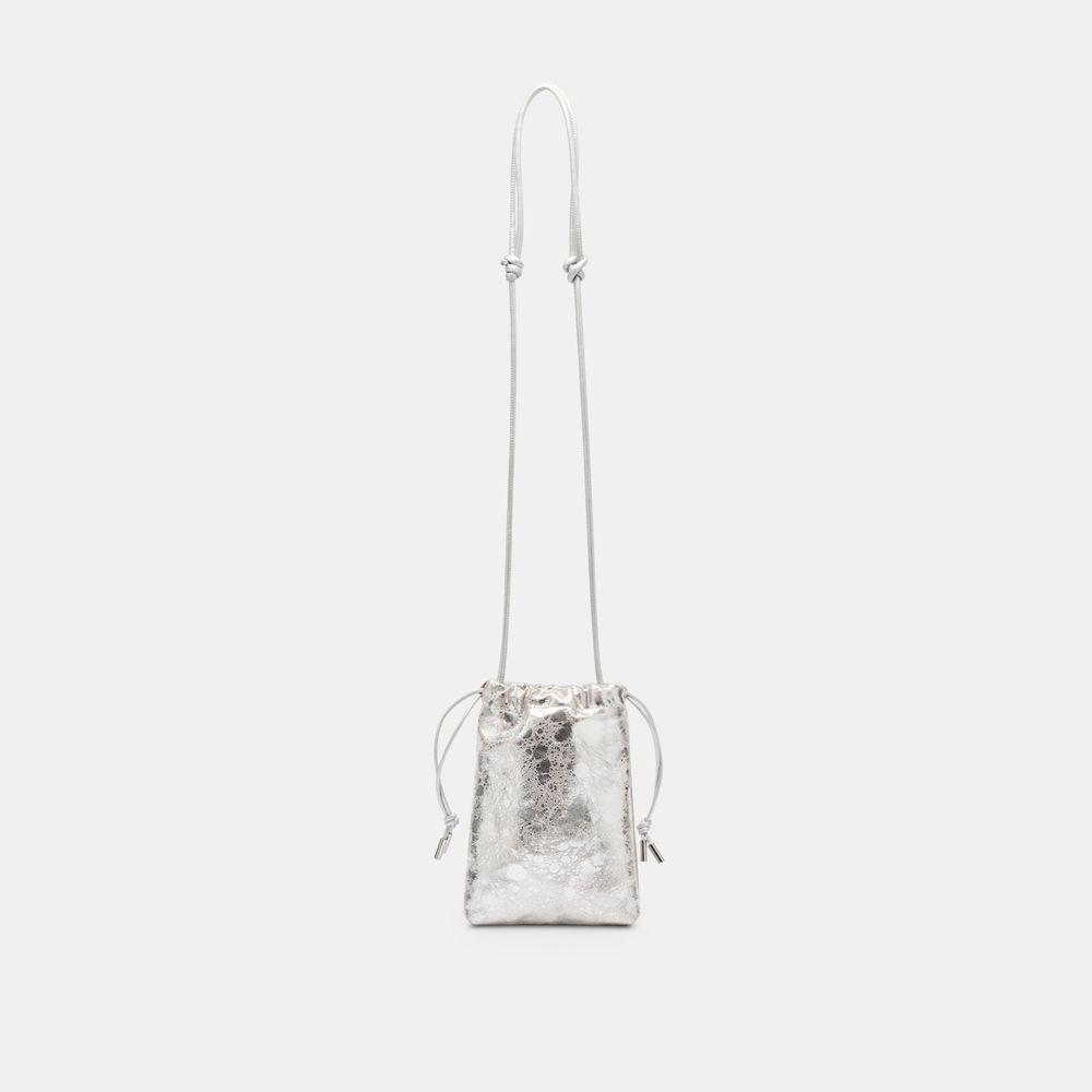 Dolce Vita Evie Crossbody Leather Women Pouch Silver | US-120695EGI