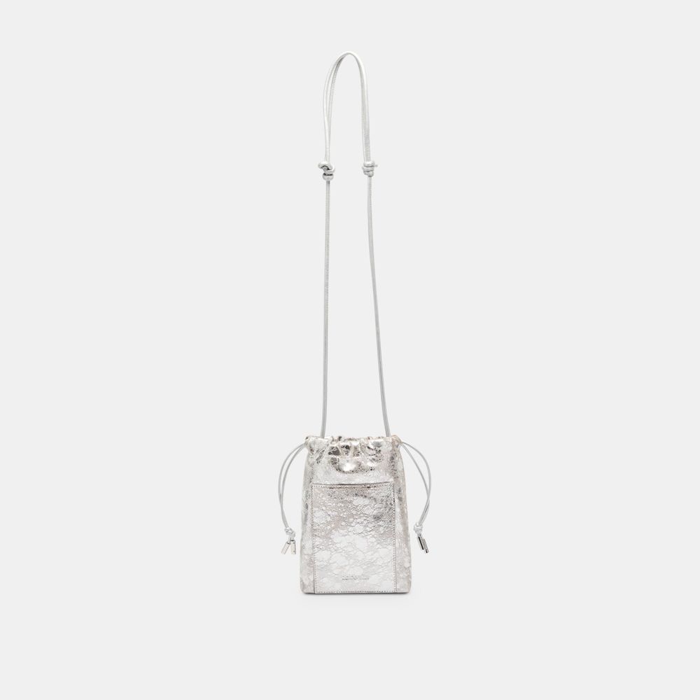 Dolce Vita Evie Crossbody Leather Women Pouch Silver | US-120695EGI