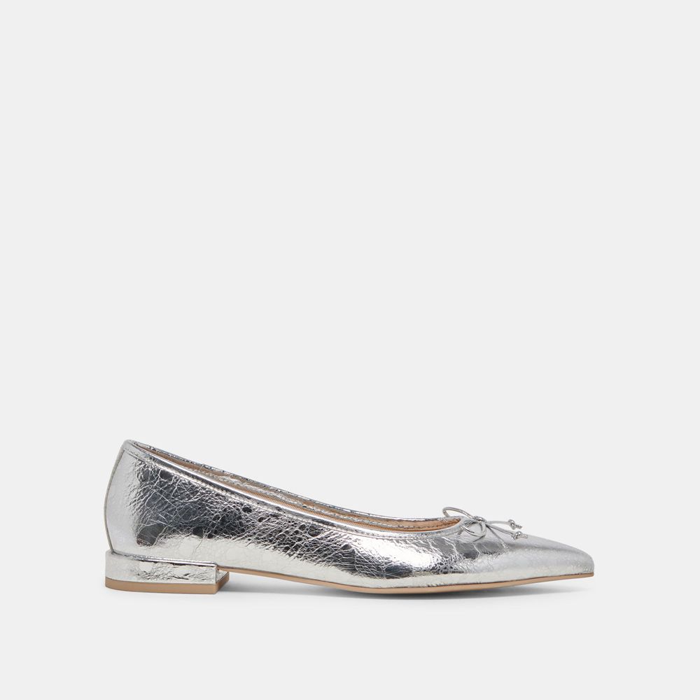 Dolce Vita Palani Leather Women Ballet Flats Silver | US-671324ZNM