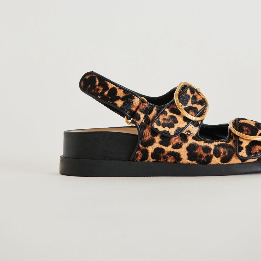 Dolce Vita Starla Women Sandals Leopard | US-621398DWI